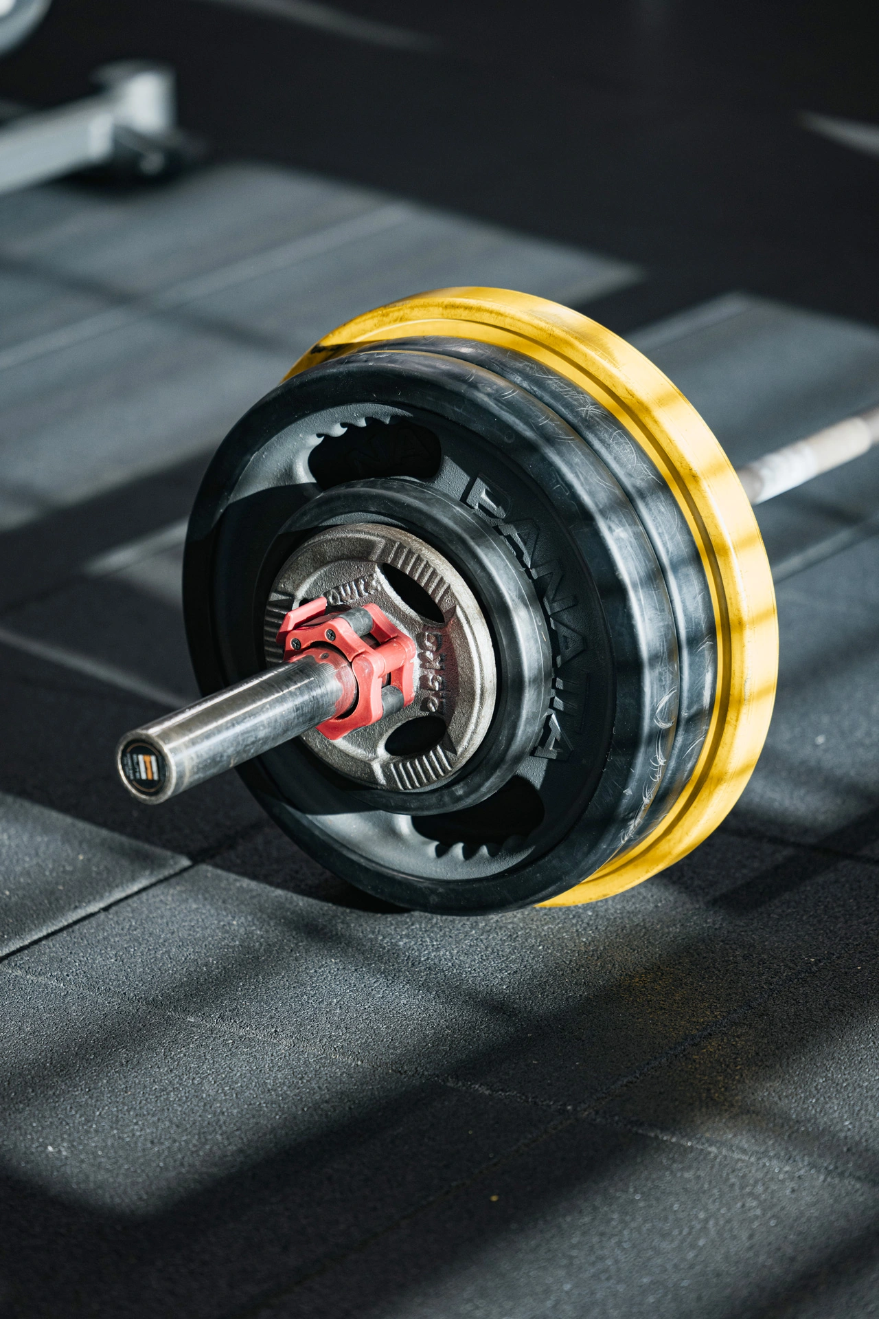 Palestra Freeweight a Castiglione delle Stiviere | Atlas Gym