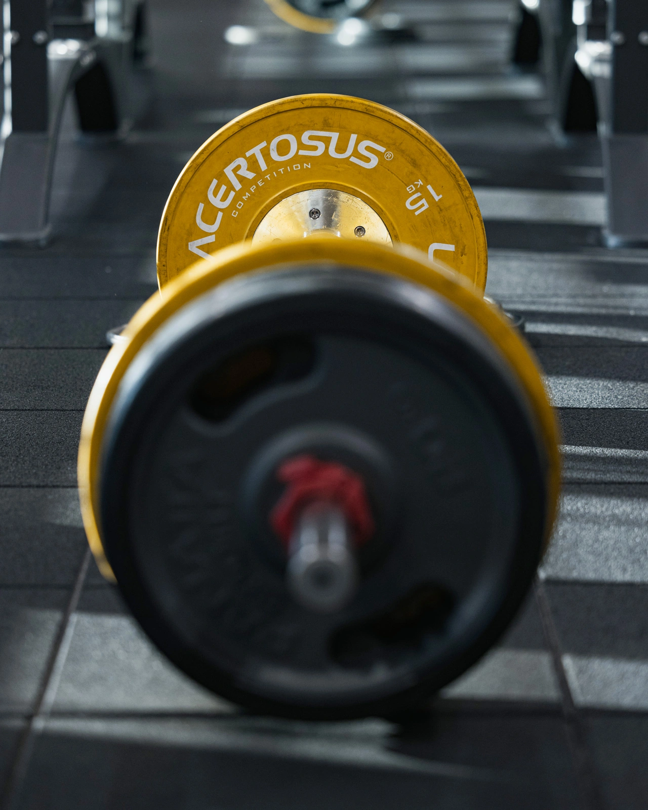 Area Powerlifting a Castiglione delle Stiviere | Atlas Gym