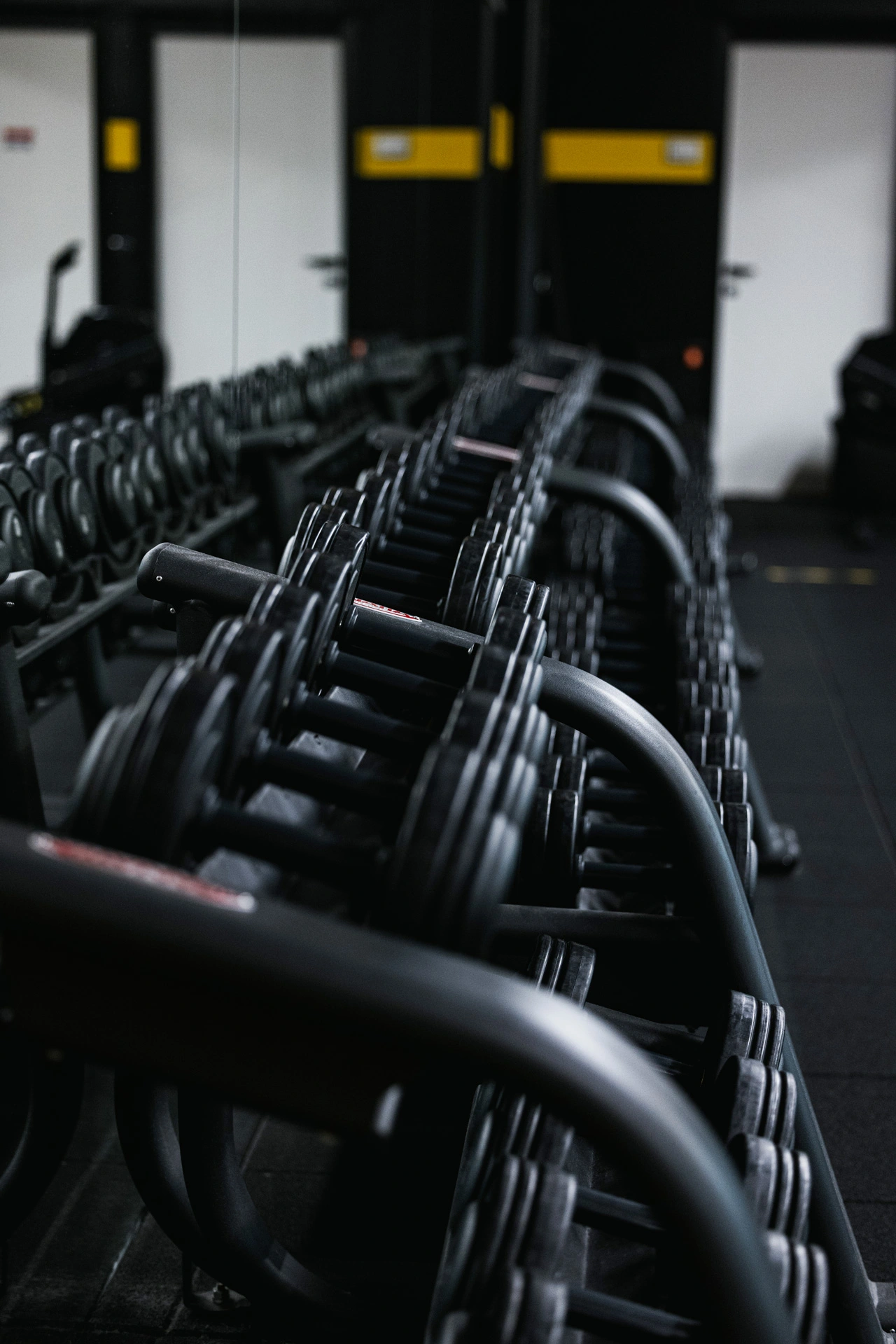 Manubri fino a 50 Kg | Palestra a Castiglione delle Stiviere